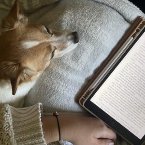 perro tranquilidad sofa ipad