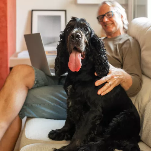 Programa de acompañamiento clínico y emocional para perros senior y sus familias