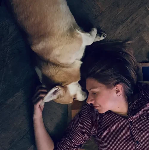 perros mayores - Etohelp